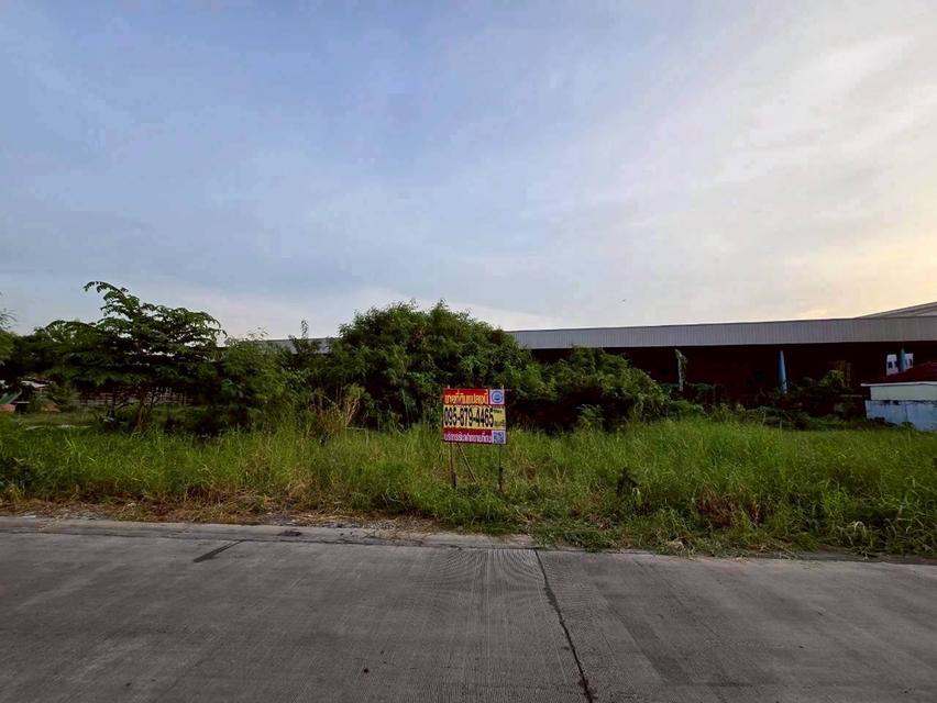 Vายที่ดินทำเลดี 96.5 ตารางวา ติดถนนคอนกรีตสาธารณะ ถมแล้ว สวัสดิการ 1 ซอย 1 หนองแขม กรุงเทพมหานคร 7