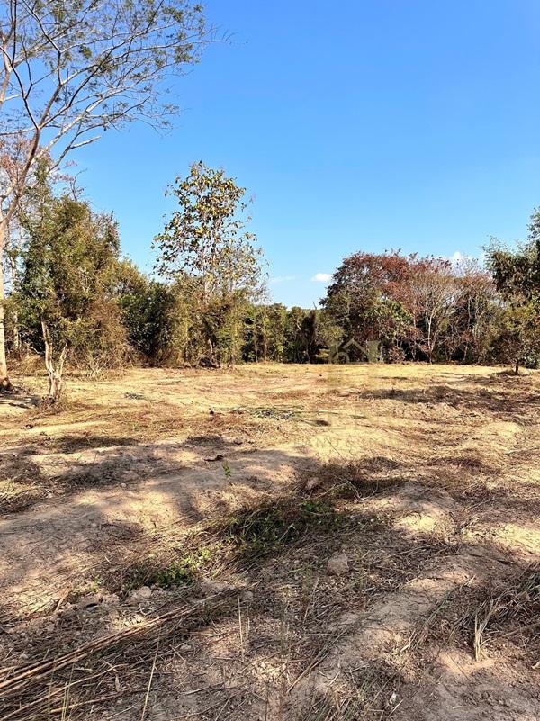 ขายที่ดิน 12 ไร่กว่า ทำเลศักยภาพ ใกล้แหล่งท่องเที่ยว จ.เชียงราย อ.แม่จัน ต.ศรีค้ำ เดินทางสะดวก โทร 081-0321111 6