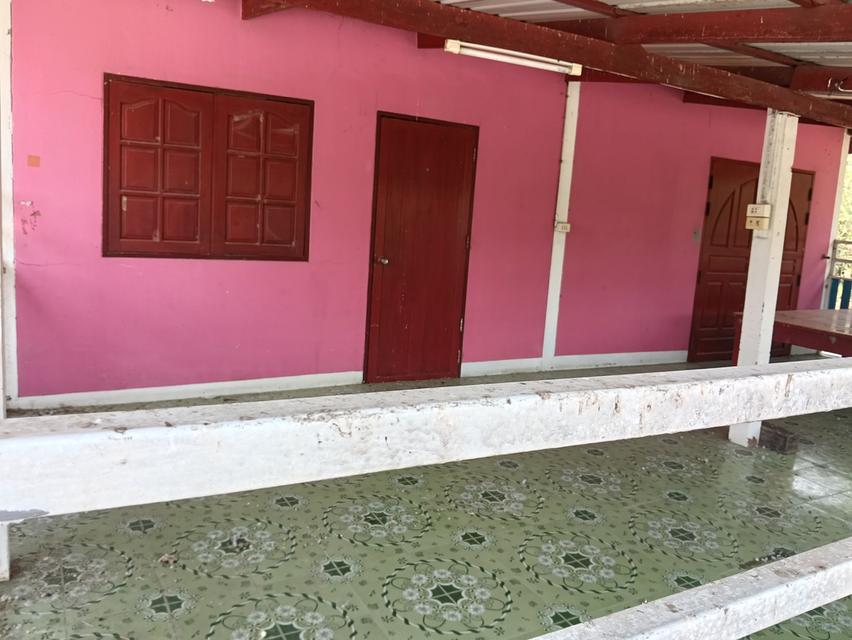 ขายด่วนบ้าน2หลังที่ดิน2ไร่เขตชุมชนติดถนนลาดยางน้ำไม่ท่วมไม่มีประวัติอยู่ไกล้ม. ราชมงคลสุวรรณภูมิสามชุกจ. สุพรรณขาย2. 55ล. สนใจ0894109810เจ้าของโดยตรง 16