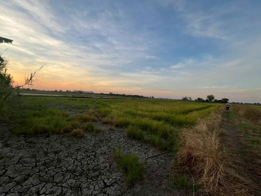 ขายที่ดินเปล่า ซอยโรงงานจานชาม 10 บาท ใกล้อบต พระอาจารย์ 4