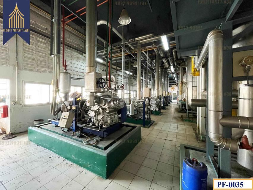 ขายโรงงาน ห้องเย็น ใกล้บ้านโพธิ์ ฉะเชิงเทรา คลองประเวศ ฉะเชิงเทรา 5