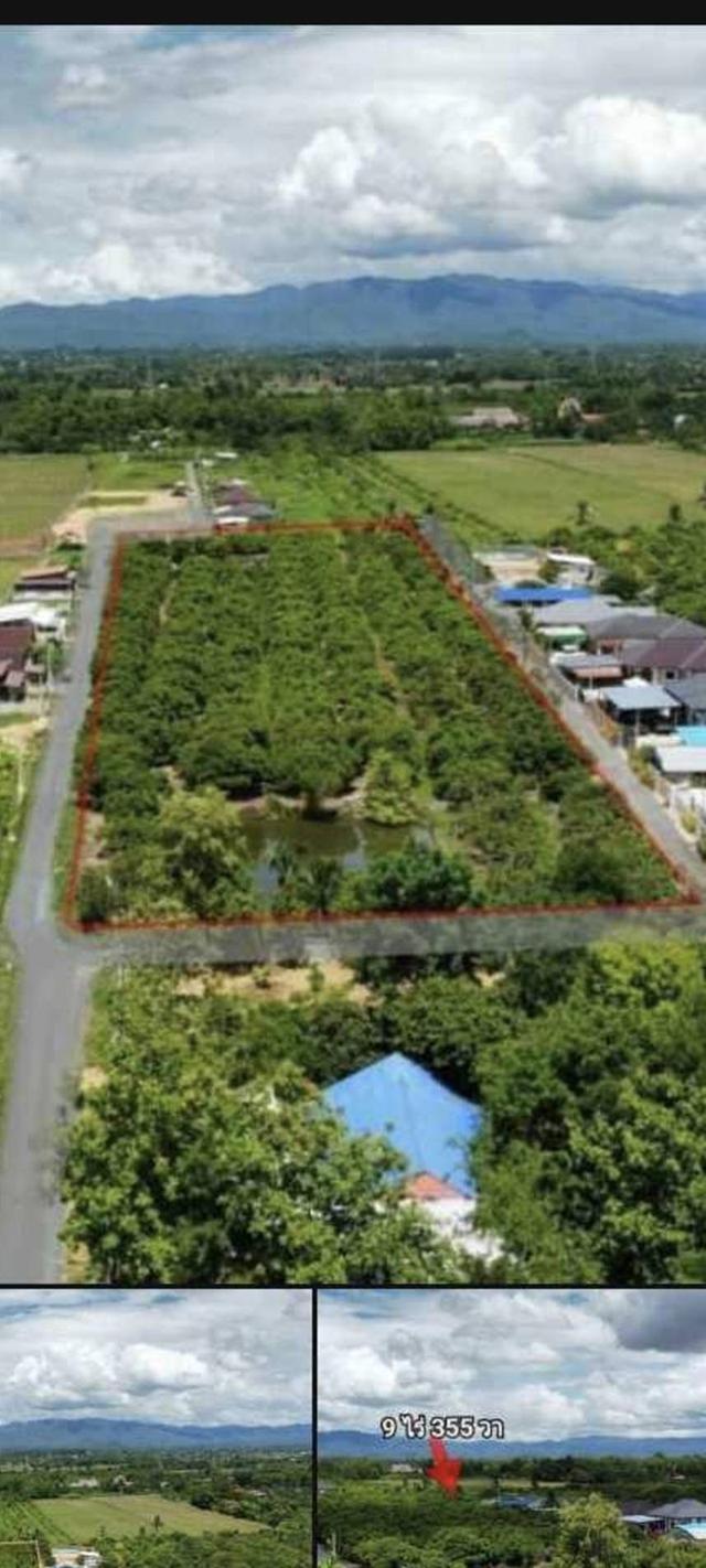 ที่ดิน สารภี  เชียงใหม่ 6