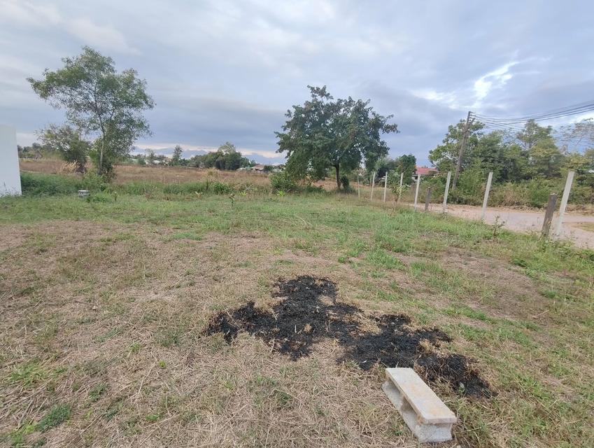 ที่ดินเปล่าทำเลดี ต.หมากแข้ง อ.เมือง จังหวัดอุดรธานี 2