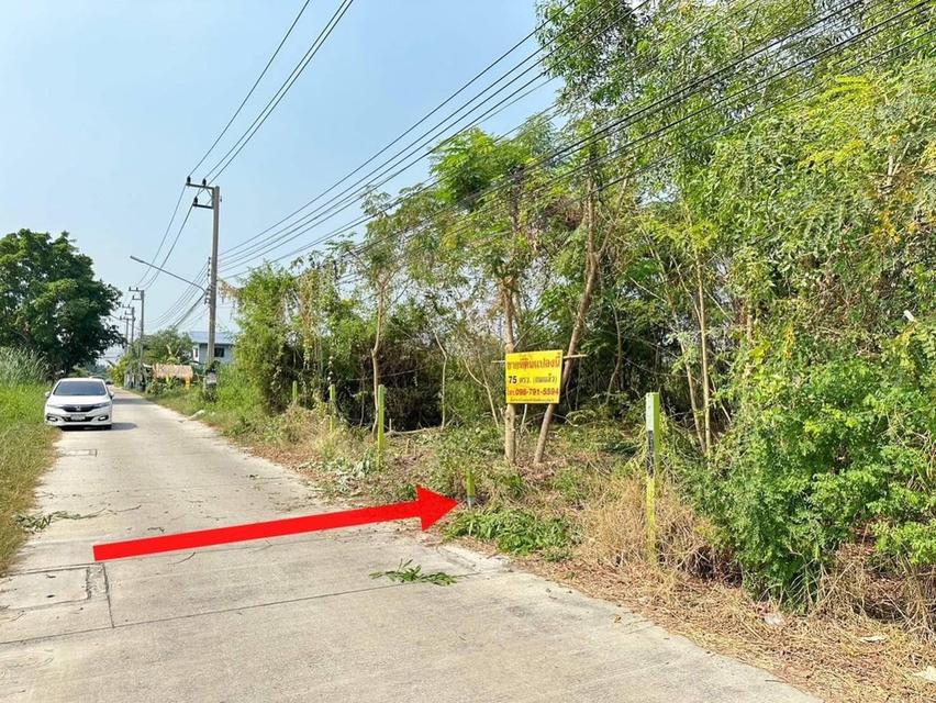 ขายด่วนที่ดินถมแล้ว 75 ตรว.ซอยบงกช 43ถนนเลียบคลอง 2 ต.คลองหลวง จ.ปทุมธานี 4
