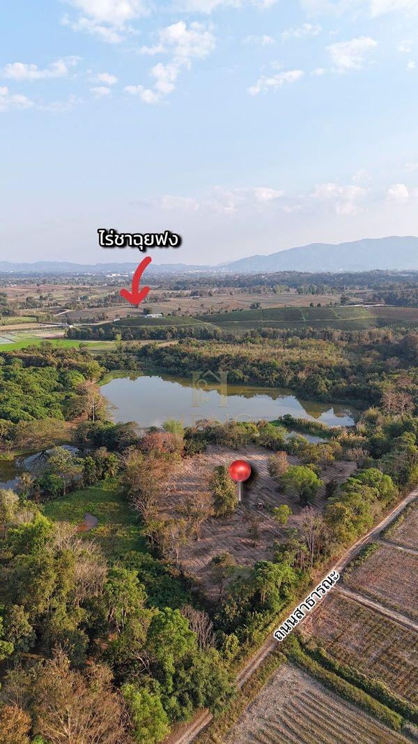 ขายที่ดิน 12 ไร่กว่า ทำเลศักยภาพ ใกล้แหล่งท่องเที่ยว จ.เชียงราย อ.แม่จัน ต.ศรีค้ำ เดินทางสะดวก โทร 081-0321111 1