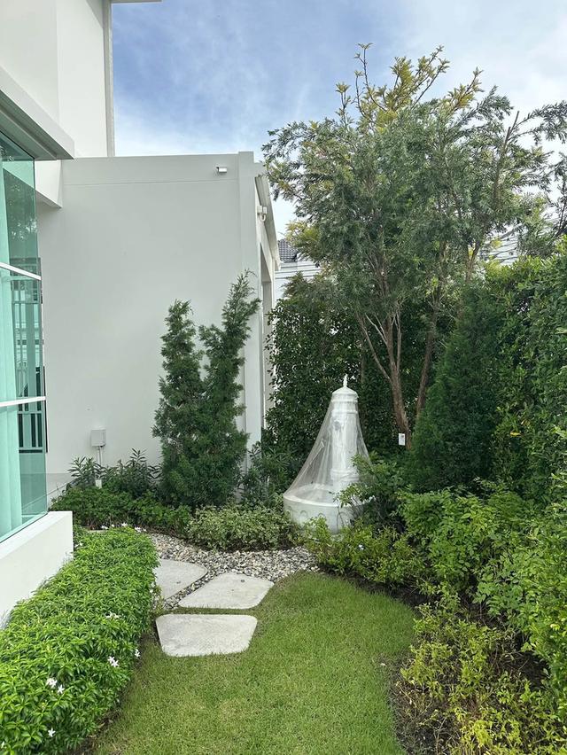 Luxury House For Rent หมู่บ้านชัยพฤกษ์บางนา กม.15 4