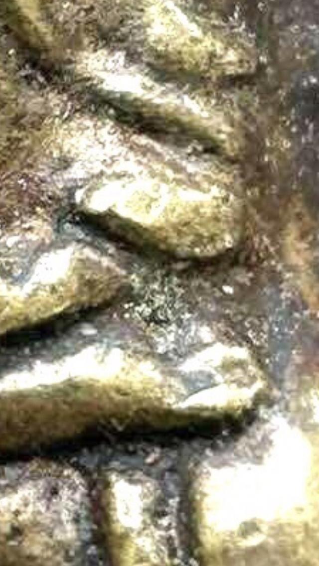 หลวงปู่ทวดหลังเตารีดเนื้อโลหะผสมวรรณะเหลือง 12