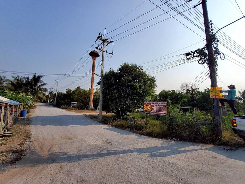 ขายด่วนที่ดิน 96 ตรว ติดถนนสาธารณะ ลานตากฟ้า นครชัยศรี นครปฐม 4