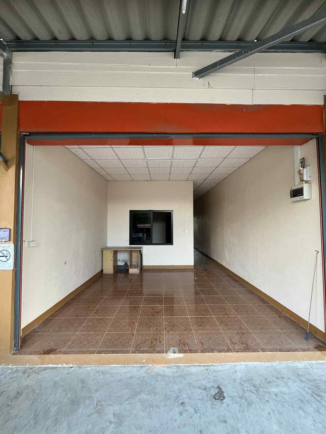 อสังหาริมทรัพย์ ที่ดิน ตึกพานิชย์ 15