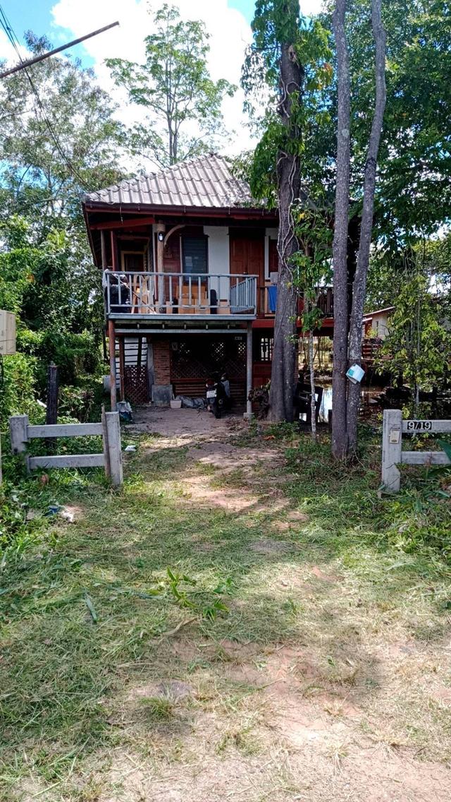 ขายที่ดินพร้อมสิ่งปลูกสร้างใน จ.สุราษฎร์ 14