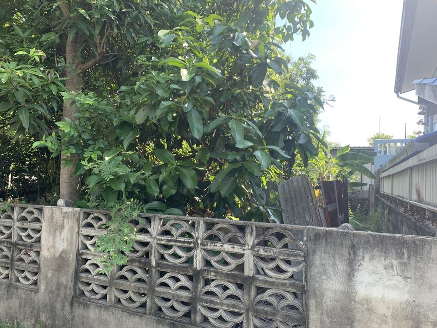 ที่ดินให้เช่าระยะยาว