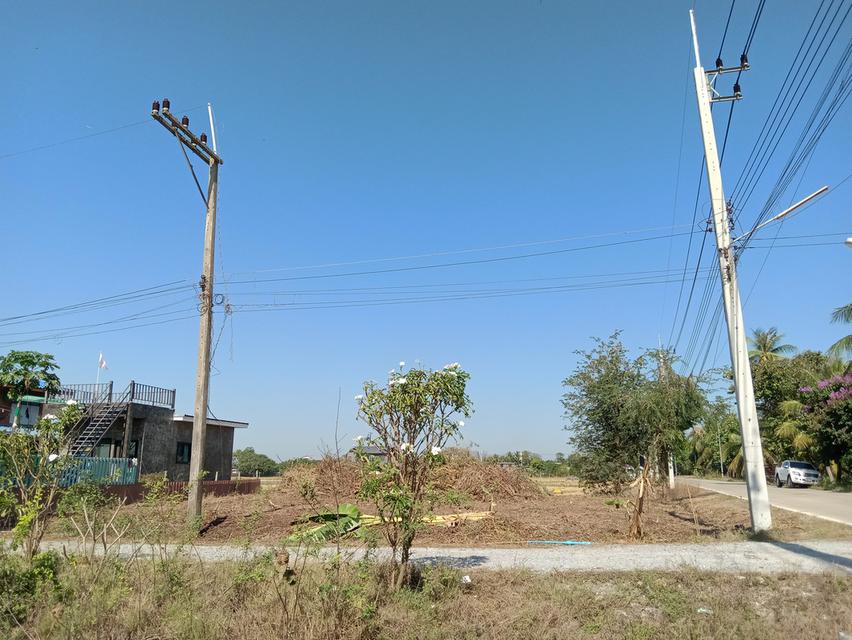 ที่ดิน 100 ตรว. บ่อเงินซอย 8 ต.บ่อเงิน อ.ลาดหลุมแก้ว จ.ปทุมธานี 4