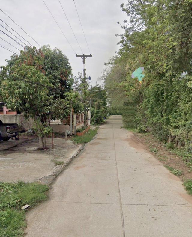 ขายที่ดินตำบลโคกสูงเมืองจังหวัดนครราชสีมา ขนาดที่ดิน11-3-75ไร่โฉนด รูปที่ 5