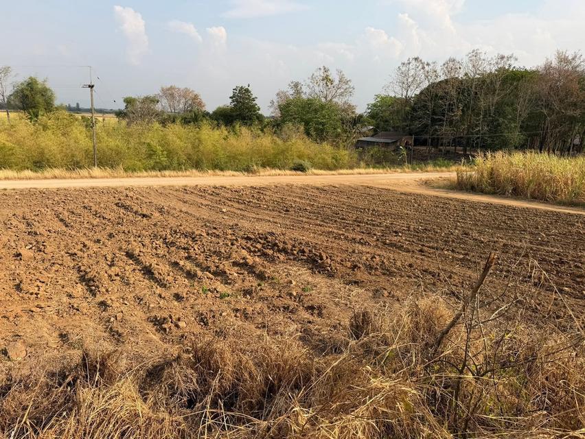 ขายที่ดินติดลำธารที่เพชรบูรณ์ 8