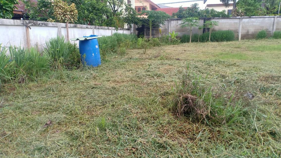 ที่ดินเปล่าในโครงการหมู่บ้าน ซอยท่าอิฐ จังหวัดนนทบุรี 2