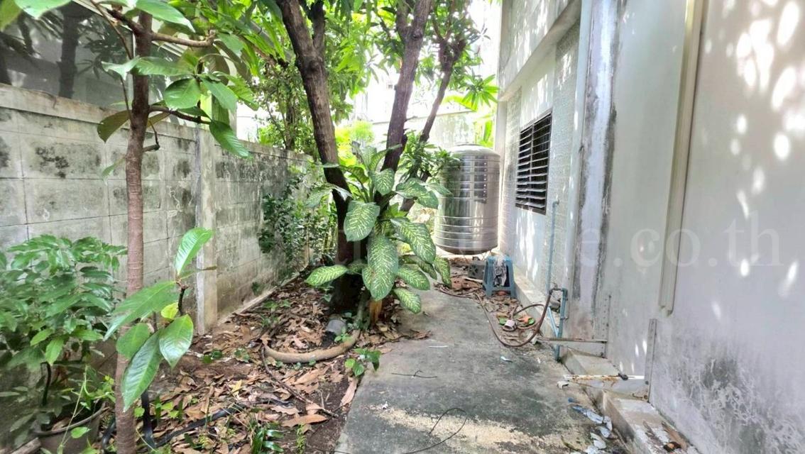 บ้านเดี่ยว หมู่บ้าน สินทวีสวนธน 2 - ประชาอุทิศ 76 ทุ่งครุ 17