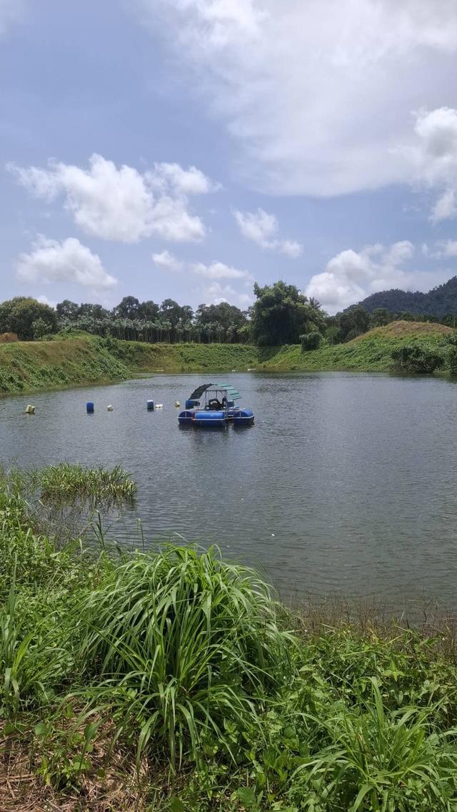 สวนทุเรียนให้ผลผลิต5ล้าน+ต่อปี เช็คพื้นที่ได้ทันที 10