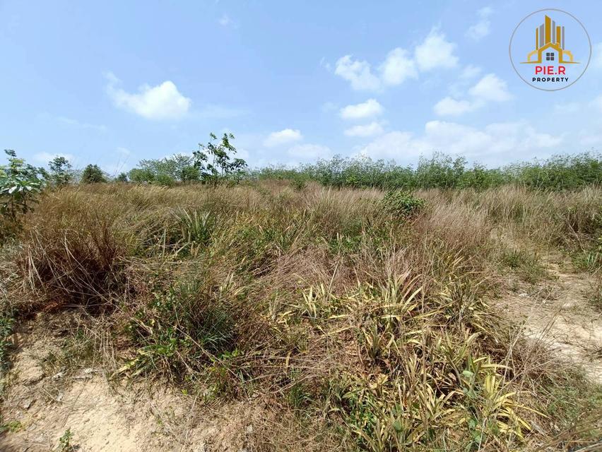 ลงทุนเพื่ออนาคต! ที่ดิน41-369ไร่ อ.เมืองระยอง l ใกล้ถ.สุขุมวิท(เดินทางเชื่อมต่อไปตัวเมืองระยองสะดวก) 11