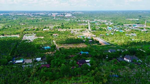 ขายที่ดินแปลงสวย ต.บางตีนเป็ด อ.เมือง จ.ฉะเชิงเทรา เนื้อที่ 3 ไร่ 9 ตร.ว. โทร 081-435-2828 4