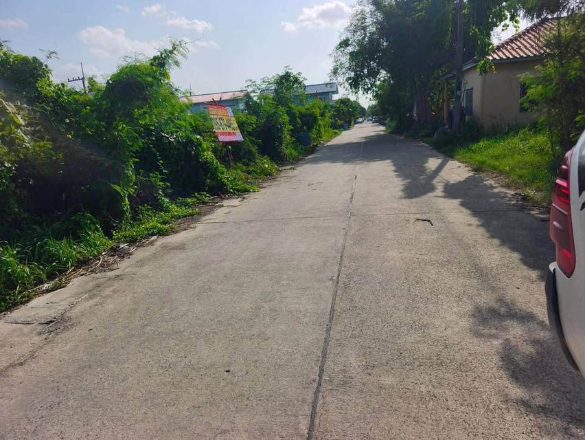 ขายด่วนที่ดินคลองหก 30 ตรว ติดถนนสาธารณะ ซ.คลองหกตะวันออก 44 คลองหลวง ปทุมธานี 3
