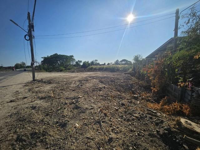 ขายที่ดินผังม่วงใกลินิคมอมตะชลบุรี ต.บางนาง พานทอง–ชลบุรี ทำเลทองเพื่อธุรกิจอุตสาหกรรม เนื้อที่ 7-0-27 ไร่ 3