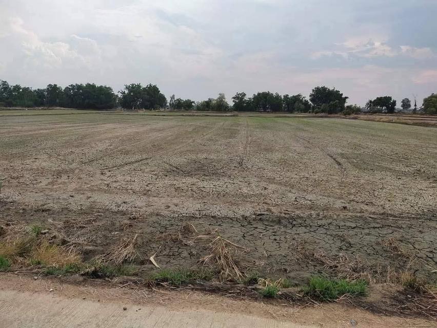 ขายที่ดินจังหวัดนครสวรรค์ ตำบลมหาโพธิ์ 5