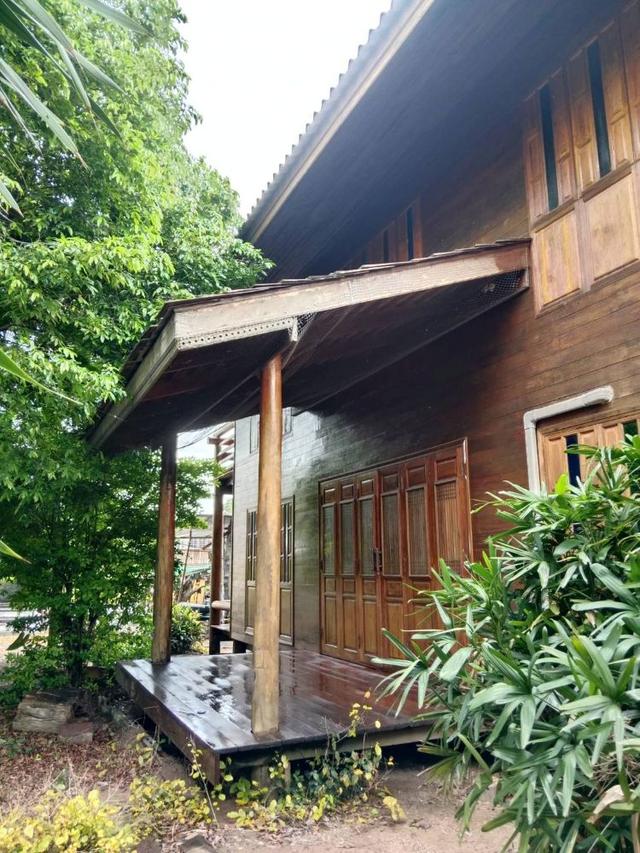 ขายบ้านไม้พร้อมที่ดิน 3 ไร่ 3 งาน บ้านสวยไม้สักทอง พร้อมอยู่ ตำบลตลิ่งชัน เมืองสุพรรณบุรี 11