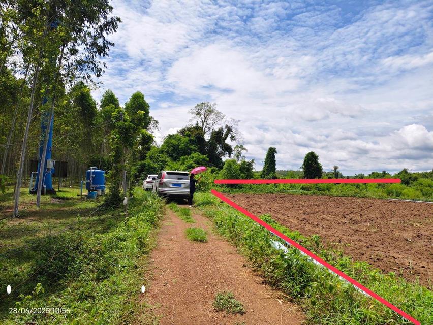 ที่ดินแปลงใหญ่ ติดคลอง–ติดถนน–ใกล้เมือง 8 ไร่กว่า ติดถนนสาธารณะ + คลองพระสะทึง 8
