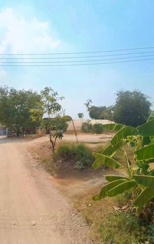 ขายที่ดินเปล่าถมแล้วพานทองชลบุรี เนื้อที่ 1 งาน 21 ตร.ว. ที่ดินเปล่าถมแล้ว พื้นที่สีเหลือง 7