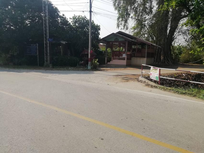 ที่ดินเปล่า 12