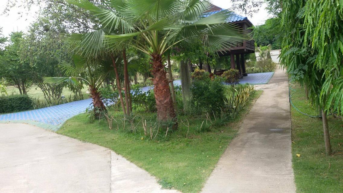 ขายบ้านและที่ดิน 3-0-76 ไร่ ต.ขี้เหล็ก อ.แม่ริม จ.เชียงใหม่ 9
