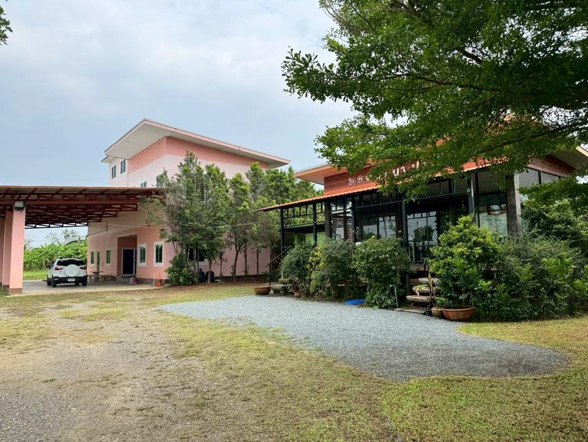 ที่ดินพร้อมอาคารหลังใหญ่ และร้านกาแฟ 2