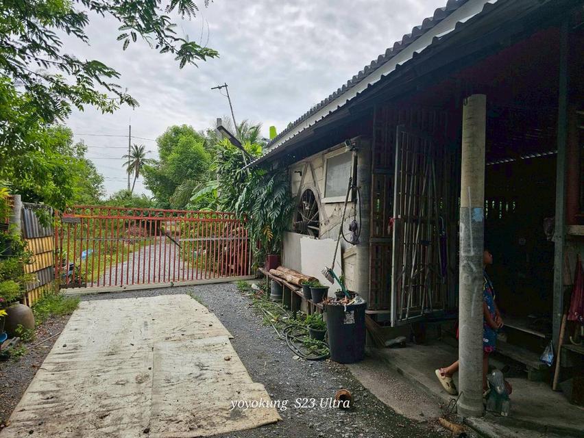 ขายที่ดิน 3-0-80 ไร่ พร้อมสิ่งปลูกสร้าง ติดถนนเลียบคลองขุนศรี ต.ไทรน้อย อ.ไทรน้อย จ.นนทบุรี 5