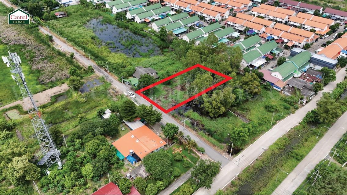 ที่ดินเปล่า 285 ตร.วา ซอยบงกช 55 คลอง 2 ปทุมธานี 2