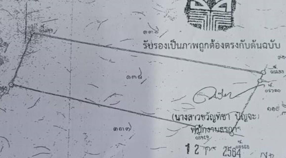 ที่นาริมถนนสาธารณะ จ.กาฬสินธุ์ 1