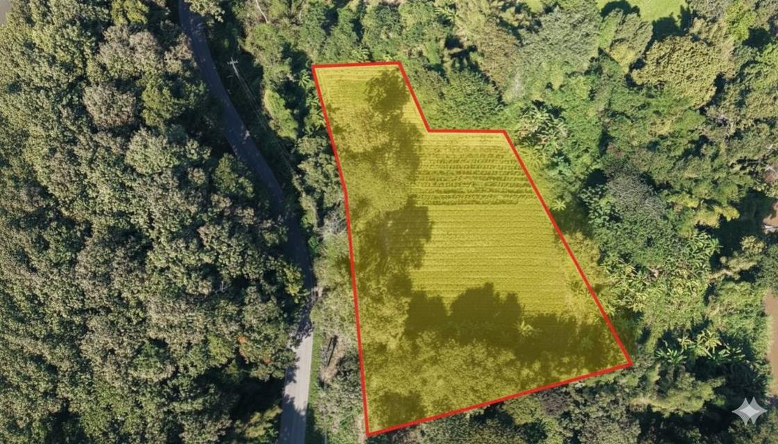 ที่ดินแม่ริม ใกล้ธรรมชาติ แปลงใหญ่ เหมาะทำ Private Estate / Wellness Premium 1