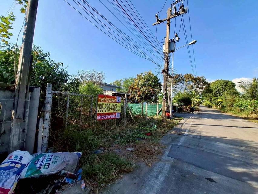 Vายด่วนที่ดินคลองแปด 100 ตารางวา ติดถนนคอนกรีตสาธารณะ ถมแล้ว ซอย คุณสัมฤทธิ์ อ.ธัญบุรี จ.ปทุมธานี 3