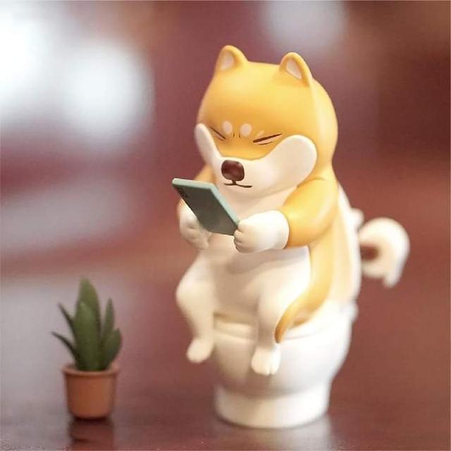 Guraya Home Shiba 2