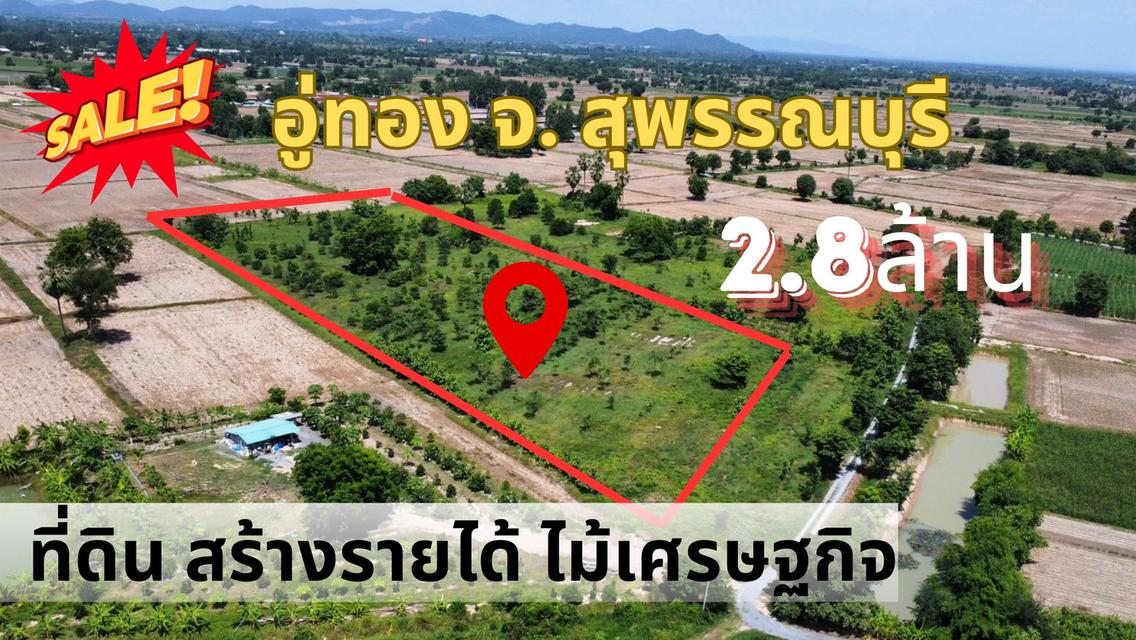 ที่ดินสวนป่า สร้างรายได้ อู่ทอง สุพรรณบุรี ขนาด 10 ไร่  1