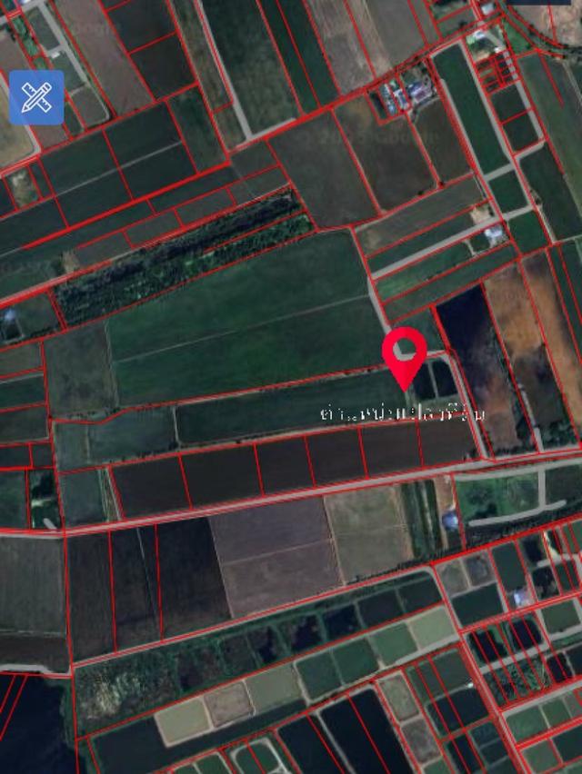 ขายที่ดินยกแปลง 39-2-48 ไร่ ทำเลดี ต.บางกะไห อ.เมืองฉะเชิงเทรา 2