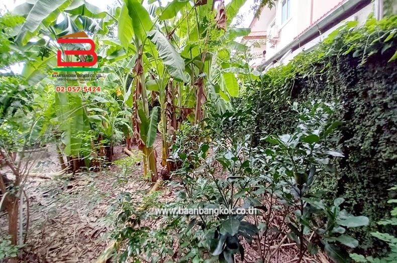 ที่ดินเปล่า ซอยนิมิตใหม่ 11 เนื้อที่ 100 ตรว. ถนนนิมิตใหม่ แขวงทรายกองดิน เขตคลองสามวา กรุงเทพมหานคร 2