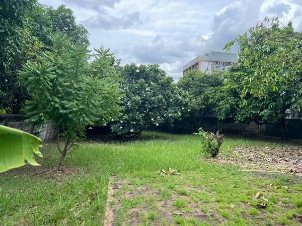 ขายที่ดินหายาก ครึ่งไร่กว่า เหมาะสร้างบ้าน ซอยติดมหาวิทยาลัยเกษตรศาสตร์บางเขน 4
