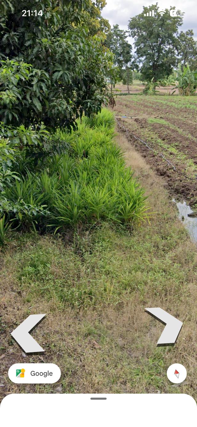 ที่ดินเปล่าติดอุทยานศรีเทพ 5