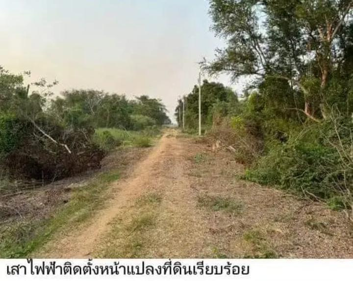 ที่ดิน นนทบุรี 1