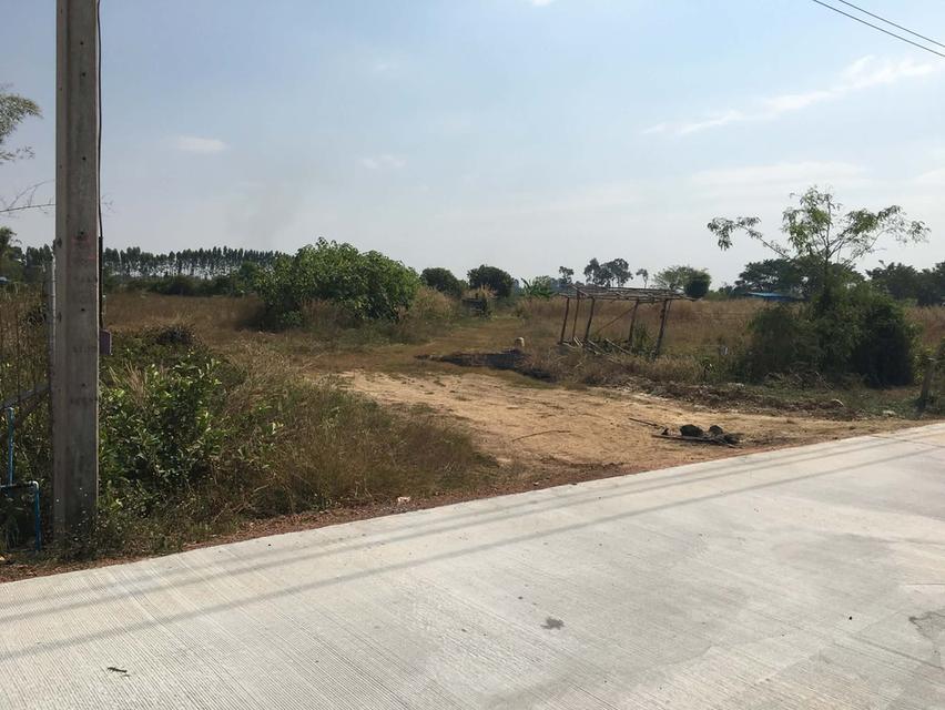 ขายที่ดินหัวหว้าติดถนนคอนกรีต 1 ไร่ เหมาะทำสวน ใกล้ถนนสี่เลนเส้น3070-2กม. อ.ศรีมหาโพธิ ปราจีนบุรี 7
