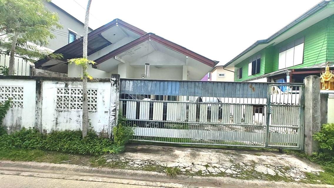 ขายที่ดินพร้อมสิ่งปลูกสร้างบ้านลาดพร้าวโชคชัยสี่ซอยสังคมสงเคราะห์ 30 39 ตารางวา 1