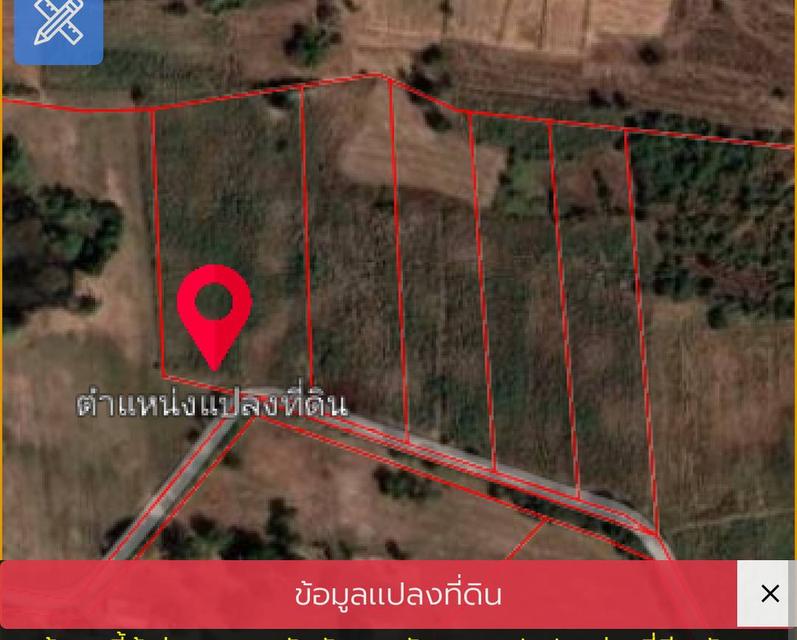 ที่ดิน