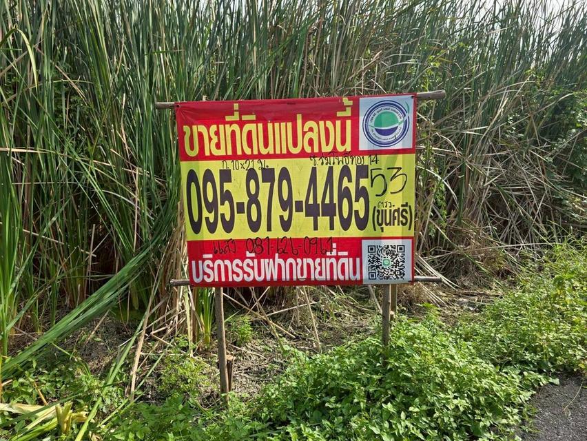 ขายถูกที่สุดที่ดินทำเลดี 53 ตารางวา ติดถนนลาดยางสาธารณะ ซอย ร่มโพธิ์ทอง 14 อ.บางบัวทอง จ.นนทบุรี 1