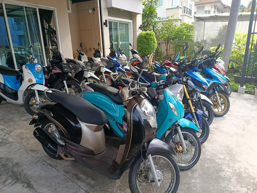 Scoopy-i  7