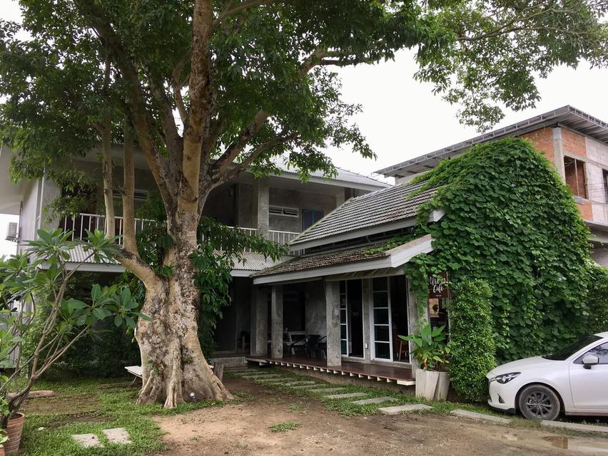 บ้านเชียงใหม่ ใกล้มช. วิวเขา 6